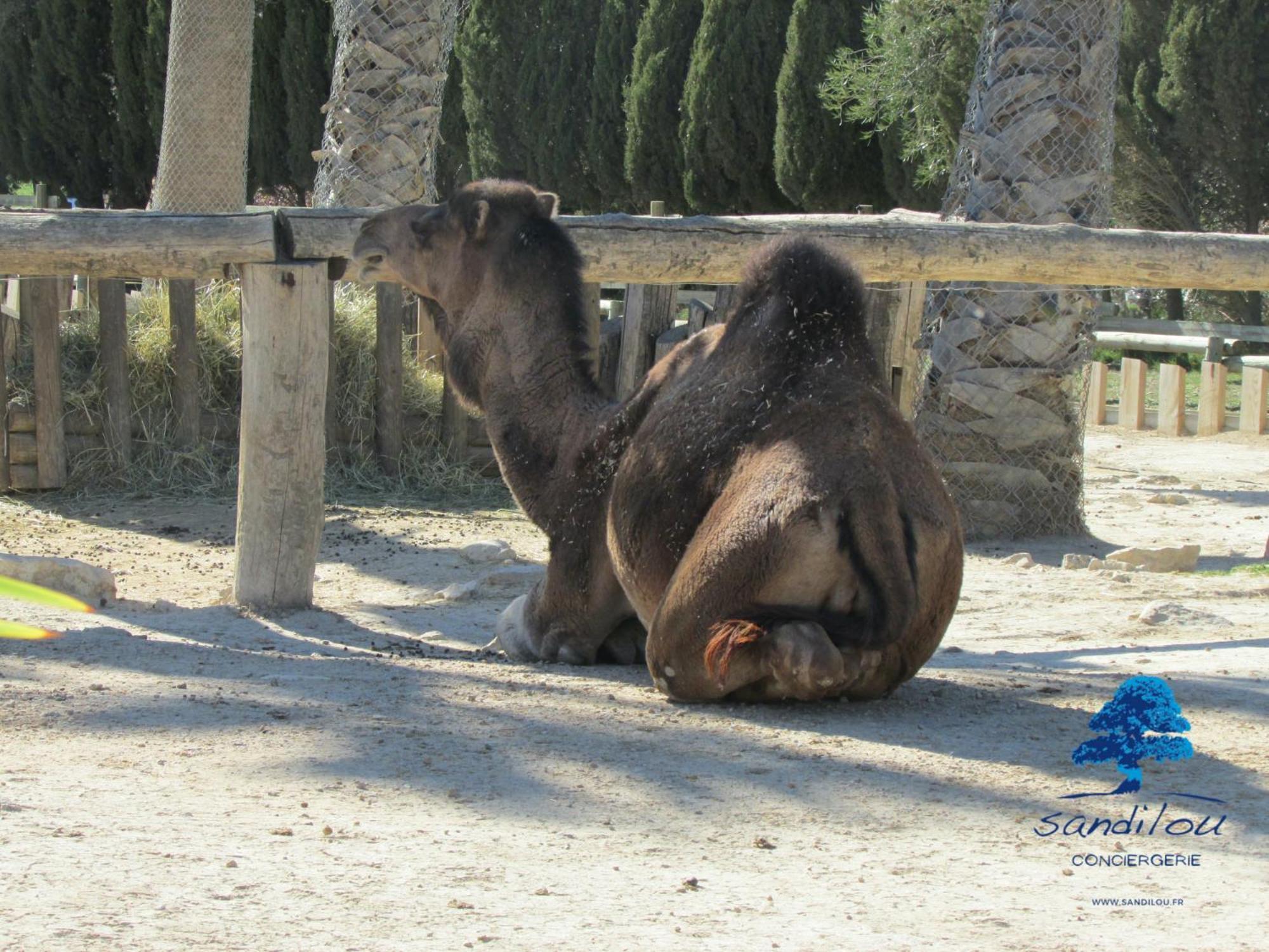 Sandilou Lespetitsbonheurs 2 Chambres Climatise Tv Sigean Exteriér fotografie