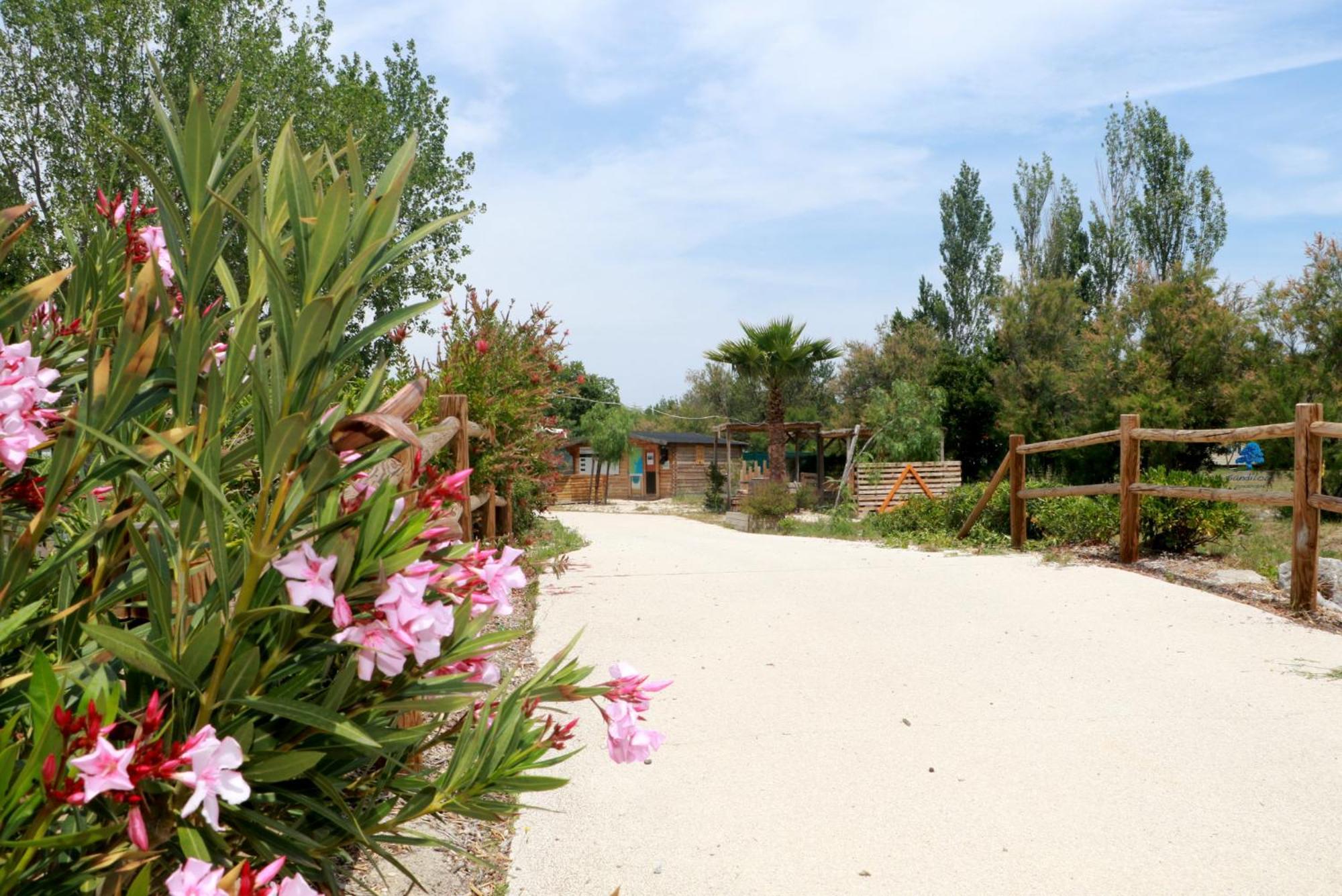 Sandilou Lespetitsbonheurs 2 Chambres Climatise Tv Sigean Exteriér fotografie